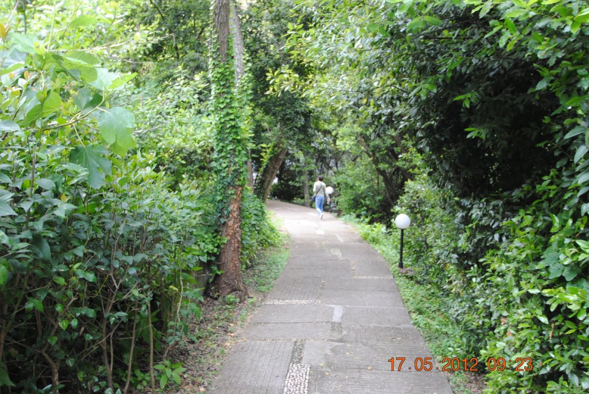 imagini hotel CORFU HOLIDAY PALACE